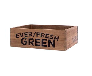 L[Xg[|vEbh{bNXGo[tbVX^bJuSIN058443