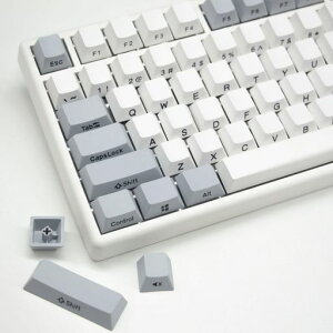 NiZpL[Lbv99pcsʒPBTގ(99L[)