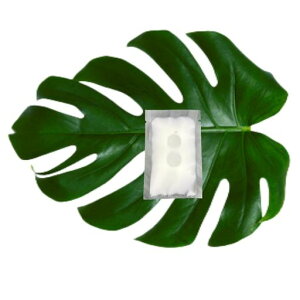 pE`ey100ZbgEzsplߑւpE`e2ml/5ml/10ml3TCY(ϐEtEN[EVv[Ή)Rh~dyʃRpNg[֗ObYrWlXoc