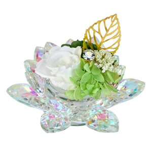 (Tokyodo)vU[uht[AWgԋԃI[@[]I[zCg11xH10cm1ZY000404-001