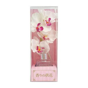 L[t(Q-FLA)ԃA}fBt[U[ӒzCgd~794117