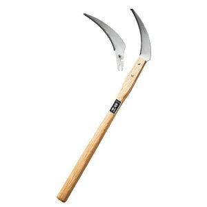 gAXp֐nY{Elŝ؂鎞G̍؂Ȃǂɂ