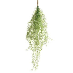 {^jJCtvX(Botanicallife+)ϗtAtFCNO[݂艺XpjbVXG}LR