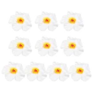 STOBAZAnCrXJXt[ԃnCrXJX̉10nC̑ԔnCACӃzf[p[eB[ߑIWfR[VpwAANZT[zCg