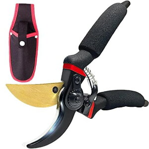 RONAVOoT΂݁AX`[n`^R[eBOoCpX^CvA\tgObvK[f͂݁Awr[f[eB[vV[YK[fNbp[A1.2hؒfc