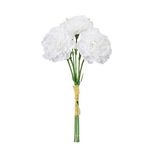 (Tokyodo)ԃCJ[l[VsbN#001zCgԌa6.5xL25cm1(3{)FM002568-001