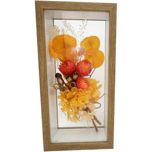 L[t(Q-FLA){bNXhCt[t[AWIW̓Mtg785726