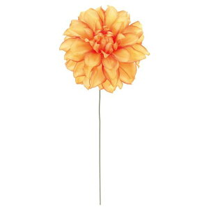 ����������MAGIQ�|���e�_���A�s�b�N�I�����W�Ԍa8xL16cmFM006955-009