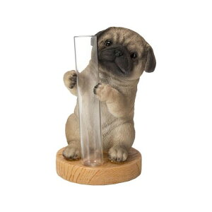 �E�[�r�A�p�O��֑}���ԕr5.5x5.5x8cm�l�`�t�B�M���A�u�����A�j�}�������K�[�f���������C�kH22168-A3