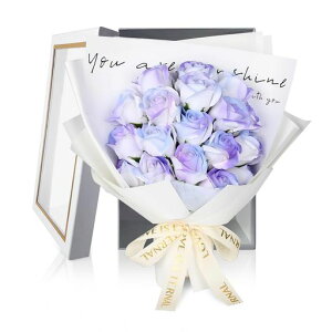 HANASPEAK\[vt[ԑ̓ƎhV̓o^Cf[Ԓav[glCt[Mtg1(Dream)