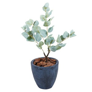 Botanicallife+tFCNO[ϗtAG}{LRۃ[J70cmDV[Y