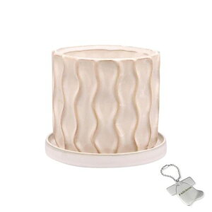 J-kitchensSelectԕrAؔgfUC|bgx[WM14xH12.5cmIWi^Ot