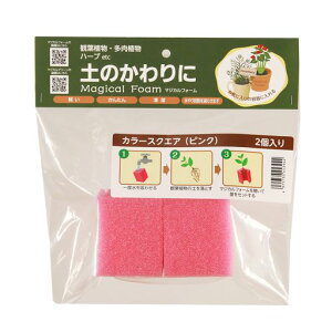 g`[ϗtE^}WJtH[J[XNGA2