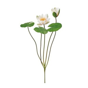 (Tokyodo)ԃXCubV#046N[sNԌa9~12xL62xW35cm1FM000839-046