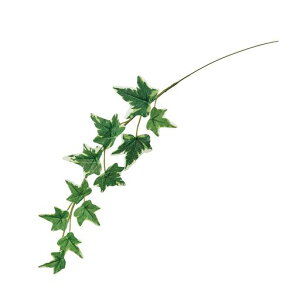 (Tokyodo)V[gACr[sbN#023zCgO[tL3.5~5.5xL40xW10cm1(6{)FG000124-023