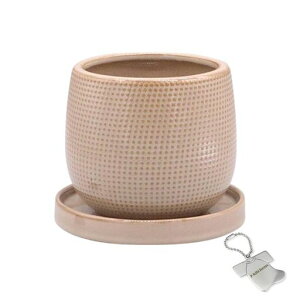 J-kitchensSelectԕrAؔzڃfUC|bguEL12xH10.5cmIWi^Ot