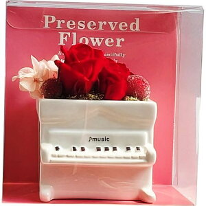 L[t(Q-FLA)vU[uht[sAmSo[Y̓Mtg蕨746857