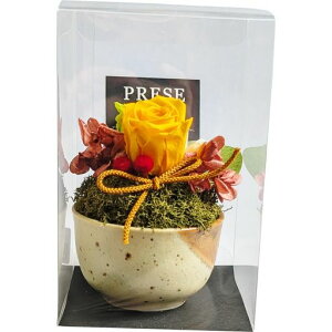 L[t(Q-FLA)vU[uhAWYE/GRP[X胍[Y̓Mtg蕨831072