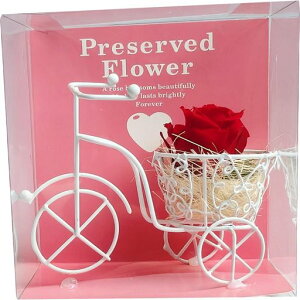 L[t(Q-FLA)vU[uht[O֎ԃbhP[X胍[Y̓Mtg蕨768385