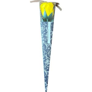 L[t(Q-FLA)\[vt[܃u[Pԑ1ֈփAxXN~jP[CG[̓Mtg蕨813764