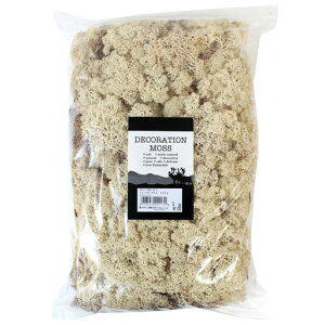 H|CfBAXp500g1i`[55]156-11-1