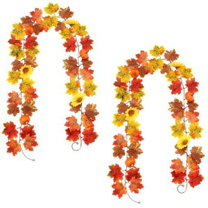 koundenekogtK[h2{ZbgǊ|HK[hЂ܂葢ԃJ{`݂HGߏlHϗtAԓӍՃnEBNX}XXܑCeAS200cm/{