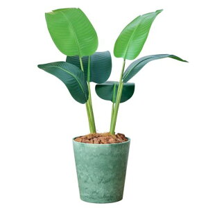 Botanicallife+tFCNO[ϗtAG}{LRۃI[KX^80cmDV[Y