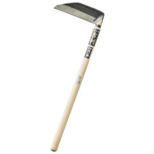 ̑gqVY{ElłbivG_炩p