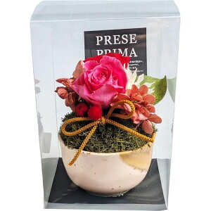 L[t(Q-FLA)vU[uhAWPK/REP[X胍[Y̓Mtg蕨831386