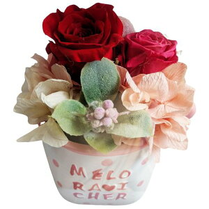 L[t(Q-FLA)vU[uht[ubho[Y̓Mtg蕨774201