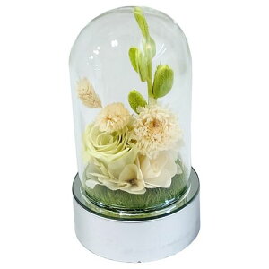 L[t(Q-FLA)vU[uht[vUh[o[Y̓Mtg蕨746796