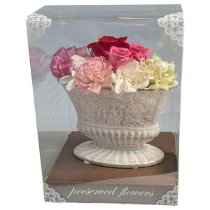 L[t(Q-FLA)vU[uht[}[WAWP[X胍[Y̓Mtg蕨781391