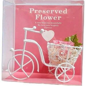 L[t(Q-FLA)vU[uht[O֎ԃsNP[X胍[Y̓Mtg蕨791826