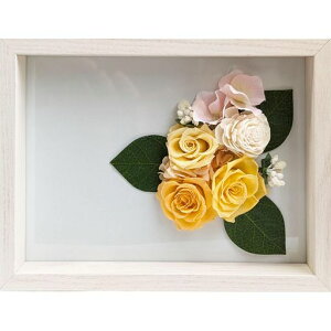 L[t(Q-FLA)vU[uht[Mtgt[CG[o[Y̓Mtg蕨783876