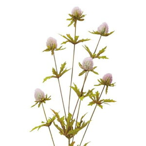 ԃVNt[wtbNGWEXv[N[/p[vFD3431-132x