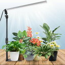 JCBritw植物育成ライトT12バースタンド付きLED6500K白いフルスペクトルLED植物ライト室内栽培苗木栽培顕花植物栽培向け水耕栽培ランプ野菜工場植物栽培工場温室/園芸に適用