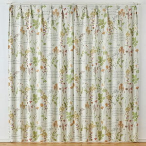 スミノエくまのプーさんフロムフレンズカーテンドレープ1枚入100x200cmI323-75883