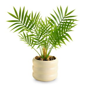 G}tFCNO[~jϗtAMъϗtA`oVZ~bNގی^ԊϗtAtFCNtȃCeAGݐbsvsvցEItBXEz[Ec