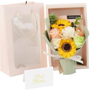 Lakymisy\[vt[oЂ܂ԑ7{[YJ[l[Vݑ͂Ȃԑo^Cf[v[gajLOƎwސEhV̓蕨ʃMtgc