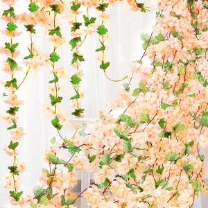 Bacucineԓ̉Ԓ݂邷Ǌ|lHVN6Zbg͂ȂtFCNt[lHϗtAEFfBOԉfR[V(CG[)