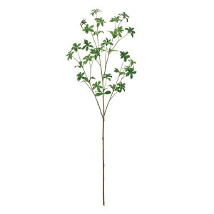 ������(Tokyodo)�A�Z�r�}��tL9xL132xW50cm1��FG302504-zzz