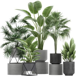 EH[XebJ[͂锫AAgsJO[EH[V[ǂɂ͂V[wallpaperdecorationsforlivingroombedroom