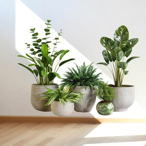 EH[XebJ[肩킢AؔϗtAǎwallstickerDIYfRArO[QqEH[A[gj̎q̎qpEH[y[p[ݕ