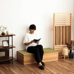 At@^Joؐjbg􊮐i{60cmxs120cmx30cm(i`)[オ胊rO[zc[[a[{bNXy1z