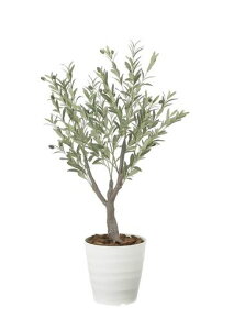 ̊ytFCNO[ԃfbNXI[u1.2m2594A240