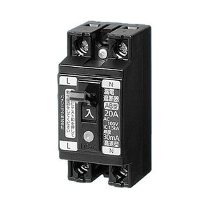 pi\jbN(Panasonic)`Rdu[J2P1EO.Ct20A15mABJS2021N