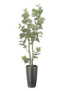 ̊ytFCNO[ԃXV[O[v1.6m2518A350