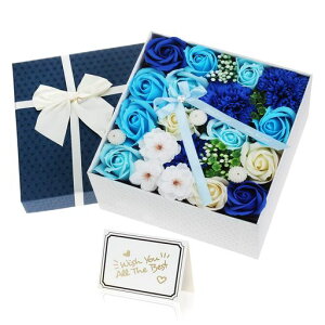 \[vt[Mtg{bNXnӕ`Mtg̓̓җjaLOhV̓搶̓v[go^Cf[jiސEjVzjwƏjc