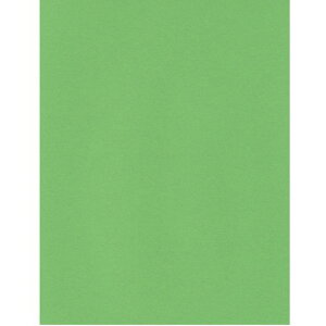 GXPgPgX^[J[A4C1005743007