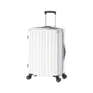 [�A�W�A�E���Q�[�W]�X�[�c�P�[�XALI-6008-24�z���C�g